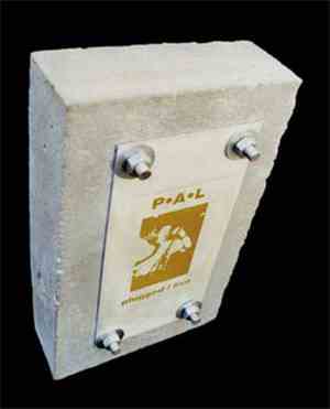 P·A·L - Plugged / Live