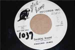Pinnochio James - Sneaking Around