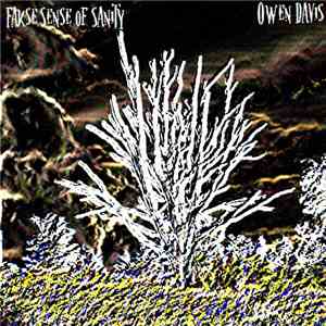 False Sense Of Sanity / Owen Davis - Split