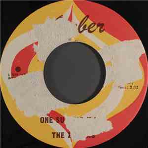 The Zircons - One Summer Night