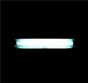 Sick Buildings - Mains Frequency Flicker