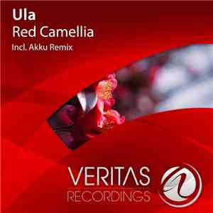 Ula  - Red Camellia