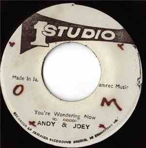 Andy & Joey - You're Wondering Now