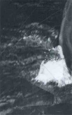 Miles Haney - Vapid Abstractions