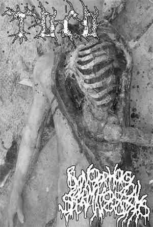 Tuco  / Blenorrhagical Spermatocystitis - Untitled