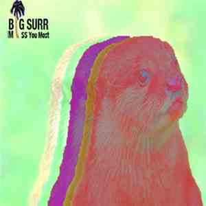 Big Surr - Miss You Most