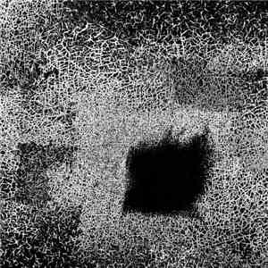 Boris  - Präparat