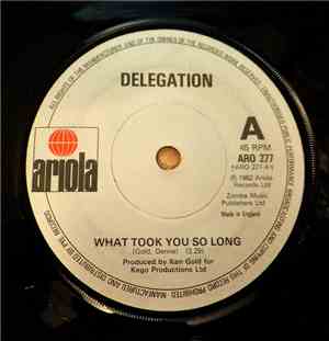 Delegation - What Took You So Long / Gonna Bring The House Down