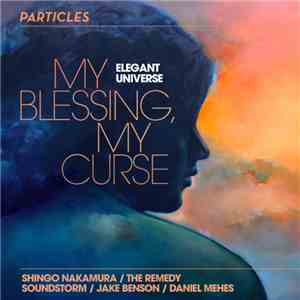 Elegant Universe - My Blessing, My Curse