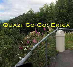 Quazi Go-Go - Erica