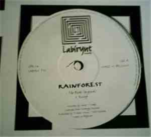 Rainforest - The Birds