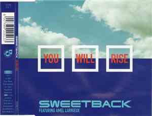 Sweetback Featuring Amel Larrieux - You Will Rise