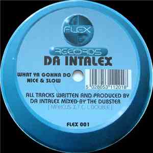 Da Intalex - What Ya Gonna Do