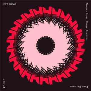 Pat King  - Noises From Above Remixes
