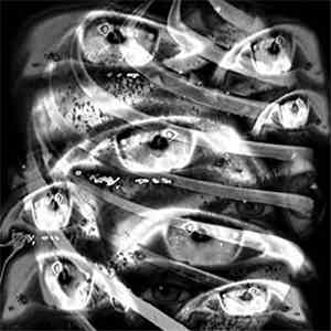 Various - Vol. E