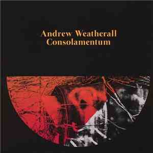 Andrew Weatherall - Consolamentum
