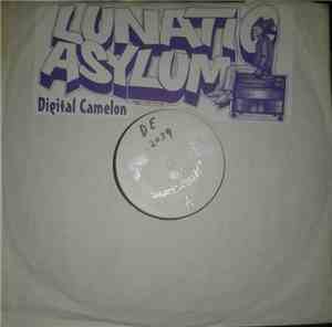 Lunatic Asylum - Digital Chameleon