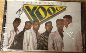The YDOC's - Introducing The YDOC's