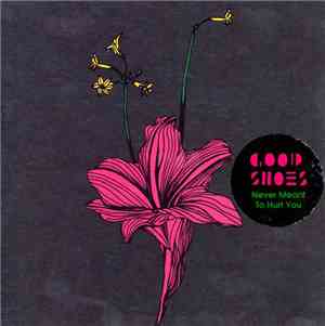Good Shoes - Never Meant To Hurt You