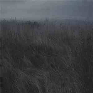 Plant43 - Burning Decay