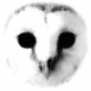 Robert Dietz, Burnski - The Wisdom Of Crowds EP