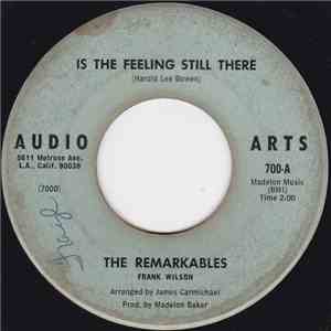 The Remarkables - Is The Feeling Still There / Easily Mislead