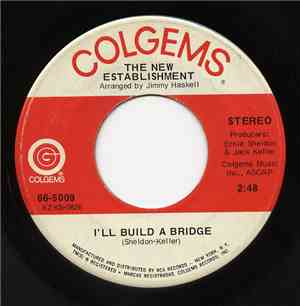 The New Establishment  - I'll Build A Bridge