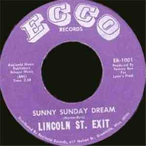 Lincoln St. Exit - The Bummer / Sunny Sunday Dream