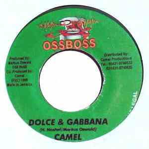 Camel  - Dolce & Gabbana