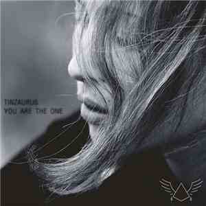 Tinzaurus - You Are The One