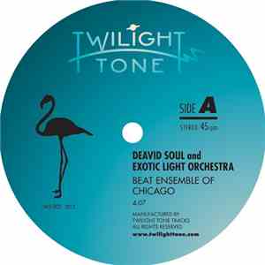 Deavid Soul and Exotic Light Orchestra - Beat Ensemble Of Chicago