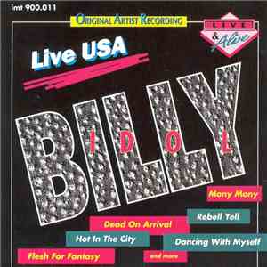 Billy Idol - Live USA