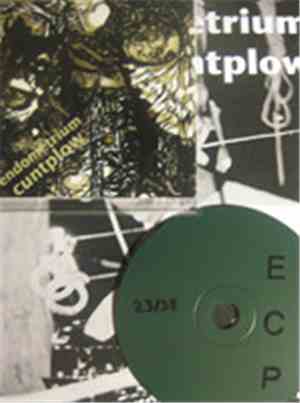 endometrium cuntplow - dirty footprints in the forest