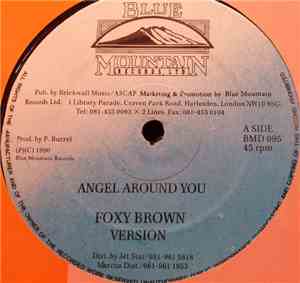 Foxy Brown  / Princess  - Angel Around You / If We Hold On Together