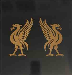 Joey Cape & Jon Snodgrass - Liverbirds