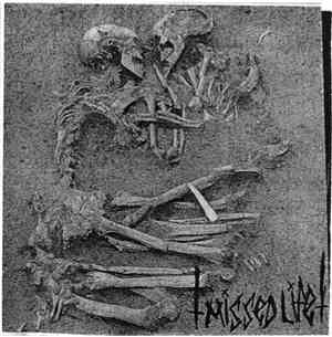 Missed Life - Missed Life