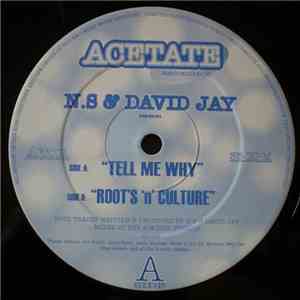 N.S & David Jay - Tell Me Why