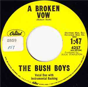 The Bush Boys  - A Broken Vow / Never Before