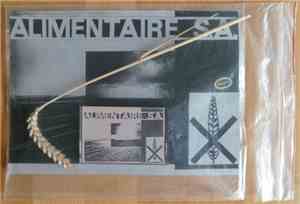 Alimentaire S.A. - Alimentaire S.A.