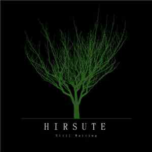 Hirsute - Still Waiting