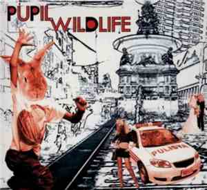 Pupil  - Wildlife