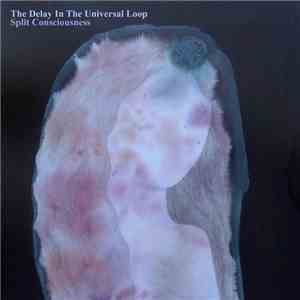 The Delay In The Universal Loop - Split Consciousness