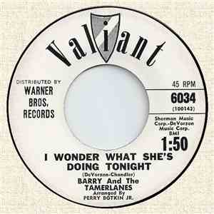 Barry And The Tamerlanes - I Wonder What She's Doing Tonight