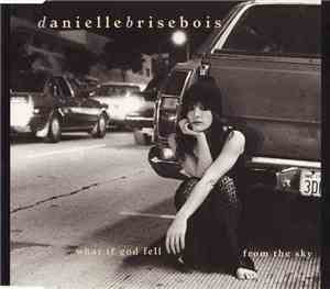Danielle Brisebois - What If God Fell From The Sky