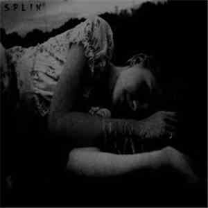 Selymes Viragszirom - Splin