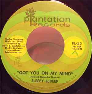 Sleepy La Beef - Too Much Monkey Business