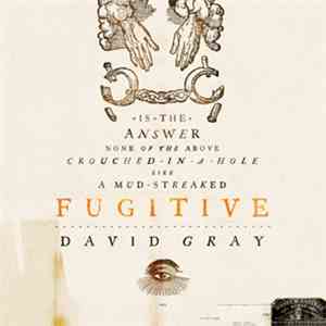 David Gray - Fugitive
