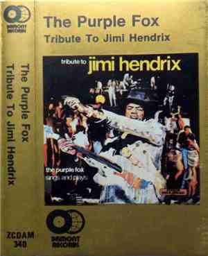 The Purple Fox - Tribute To Jimi Hendrix