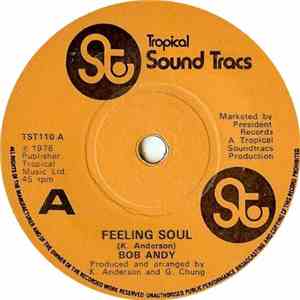 Bob Andy - Feeling Soul / Rock It Down