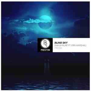 DMH  & Faure  Ft. Erin Marshall - Blind Sky
